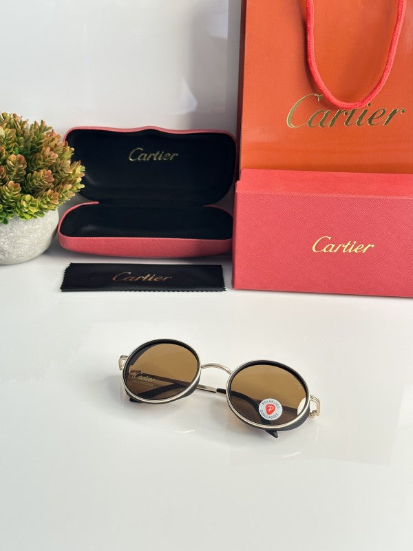 Luxury Vision Series Classic Frame Sunglasses