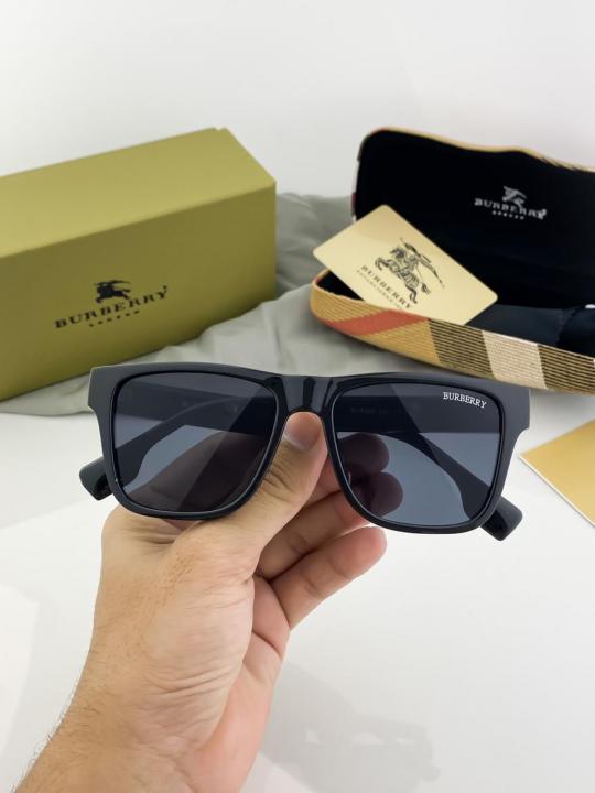 Luxury Vision Series Classic Frame Sunglasses