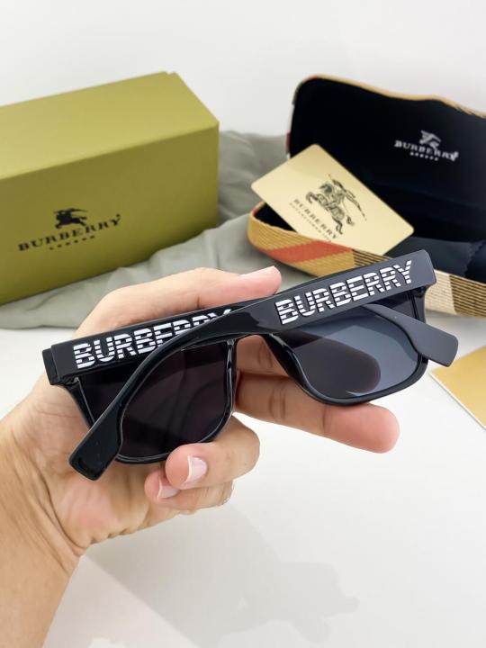 Luxury Vision Series Classic Frame Sunglasses